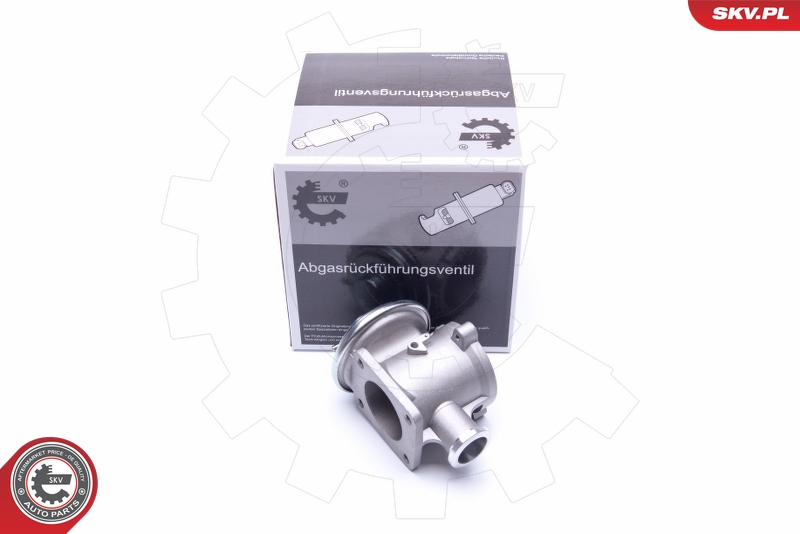 EGR Valve (Pneumatic)  Art. 14SKV178