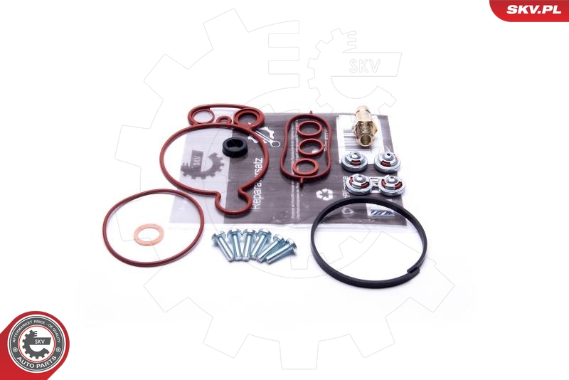 Repair Set, vacuum pump (braking system) (Rear axle, both sides)  Art. 18SKV805