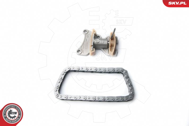 Timing Chain Kit  Art. 21SKV020