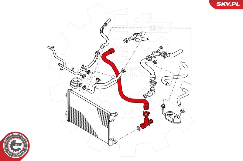 Radiator Hose (Below)  Art. 24SKV344