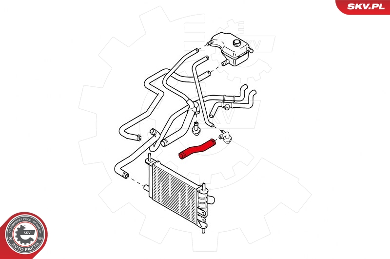 Radiator Hose (Above)  Art. 24SKV348