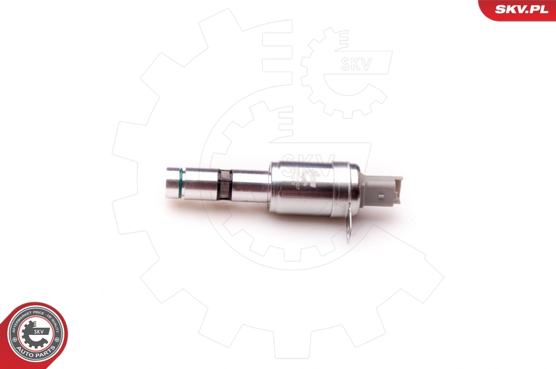 Control Valve, camshaft adjustment (119)  Art. 39SKV007