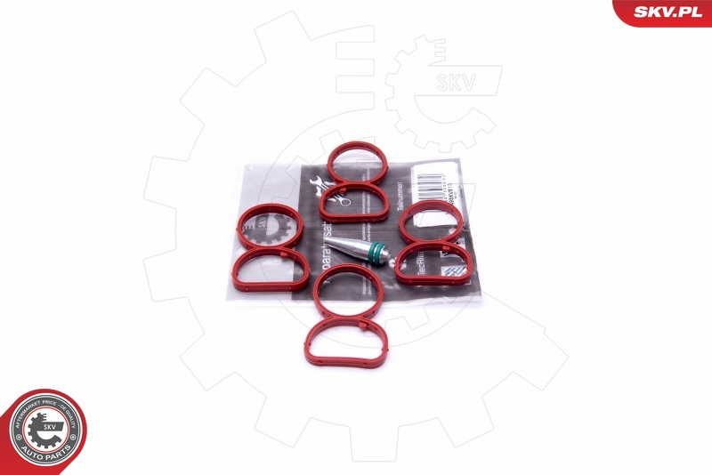 Repair Kit, intake manifold module  Art. 49SKV513