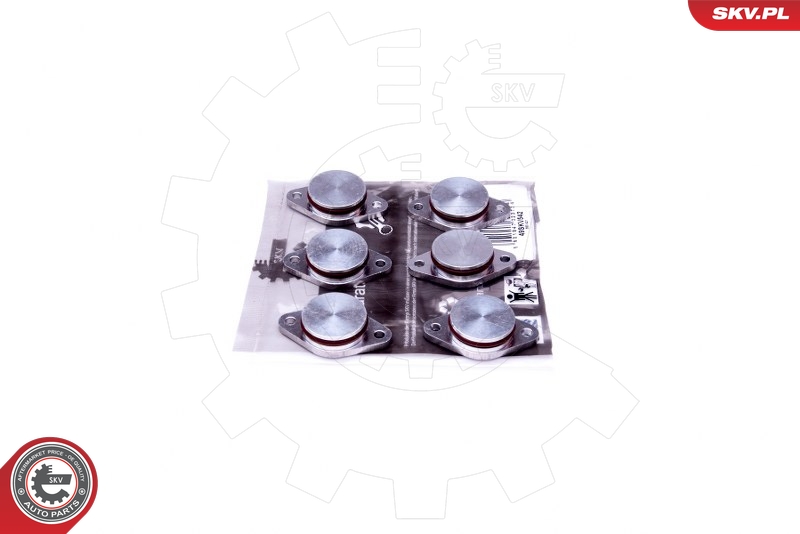 Repair Kit, intake manifold module  Art. 49SKV542