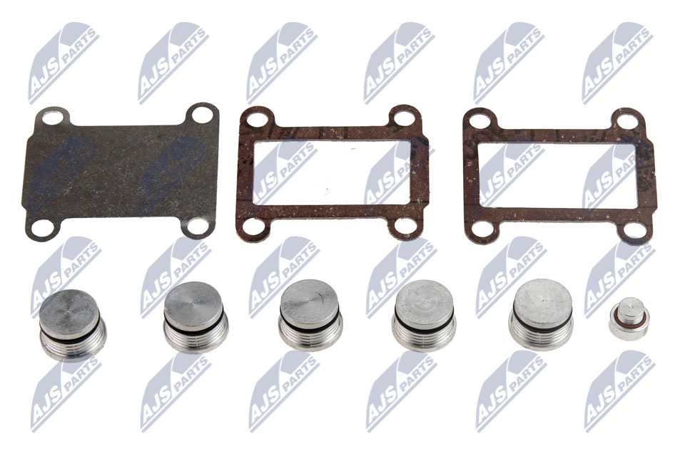 Repair Kit, intake manifold module  Art. BKSFT007