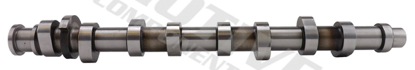 Camshaft (Suction side)  Art. T2184