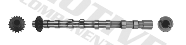 Camshaft (Suction side)  Art. T4001