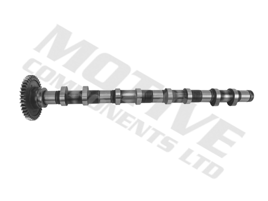 Camshaft (Removal side)  Art. T4342