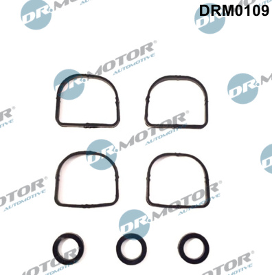 Gasket Set, intake manifold  Art. DRM0109