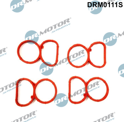 Gasket Set, intake manifold  Art. DRM0111S