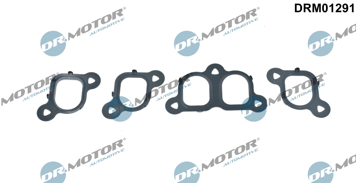 Gasket Set, intake manifold  Art. DRM01291