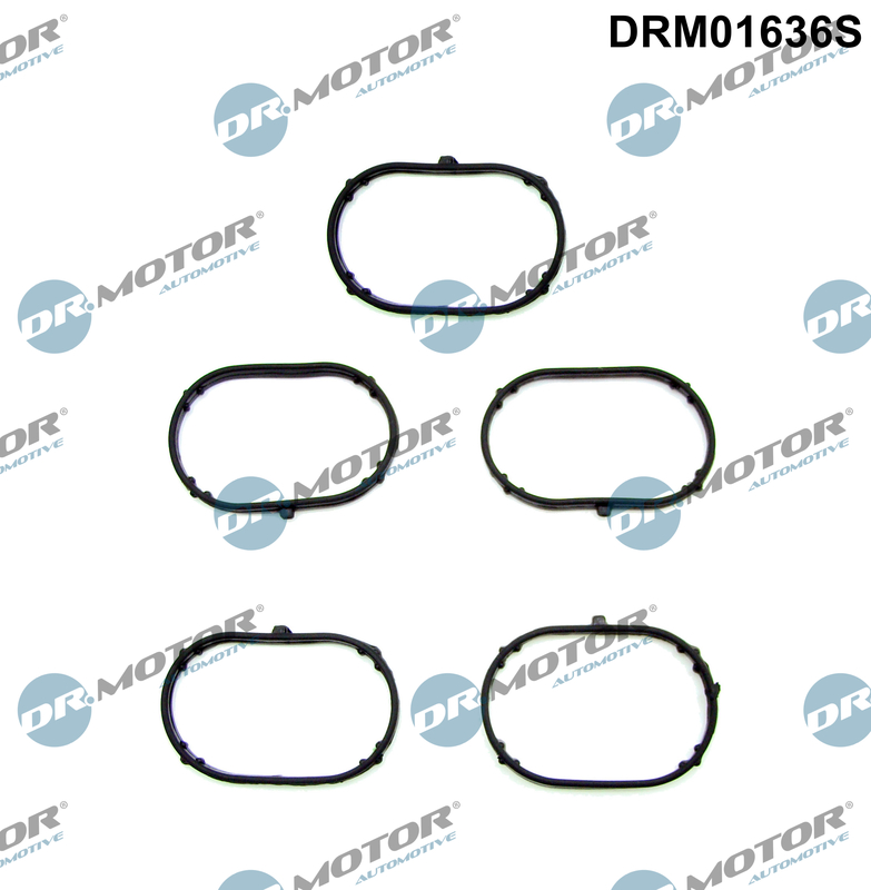 Gasket Set, intake manifold  Art. DRM01636S