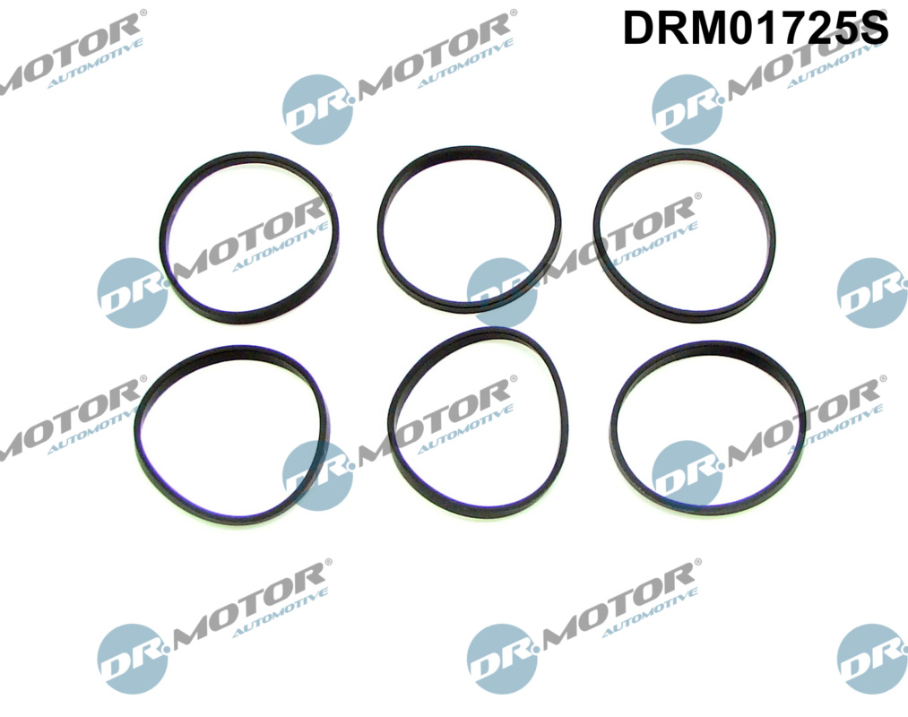 Gasket Set, intake manifold  Art. DRM01725S