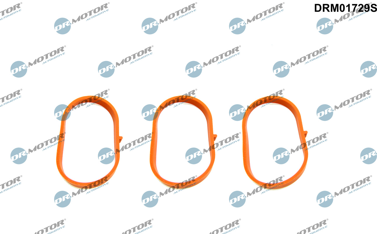 Gasket Set, intake manifold  Art. DRM01729S