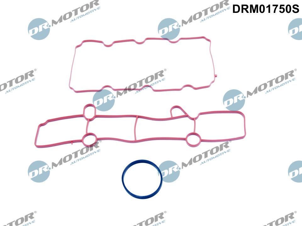 Gasket Set, intake manifold  Art. DRM01750S