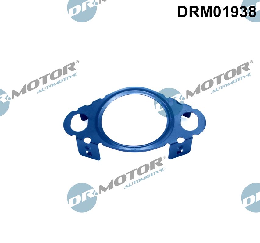 Gasket, EGR valve pipe  Art. DRM01938