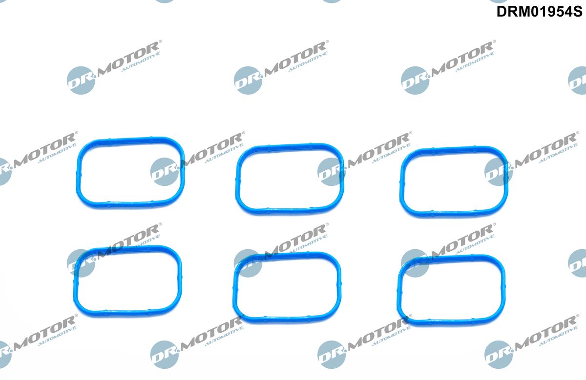 Gasket Set, intake manifold  Art. DRM01954S