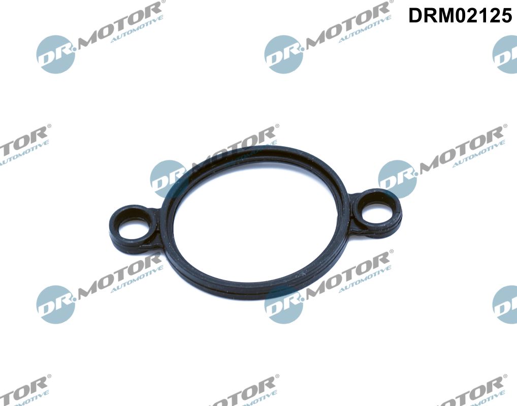 Seal, adjusting element (eccentric shaft)  Art. DRM02125