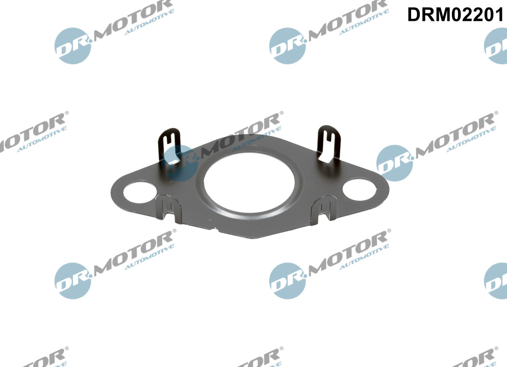 Gasket, EGR valve pipe  Art. DRM02201