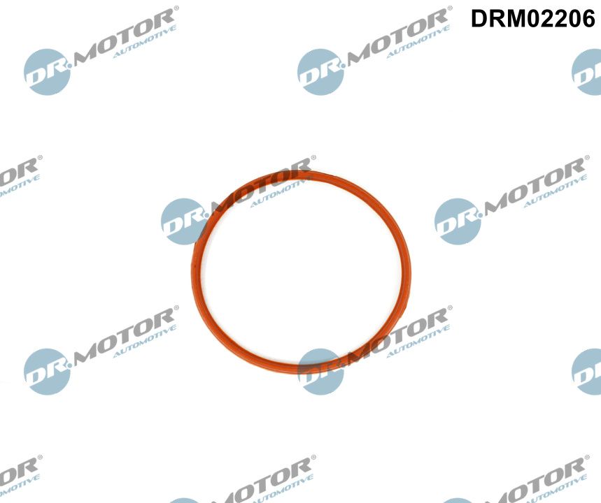 Gasket, throttle body  Art. DRM02206