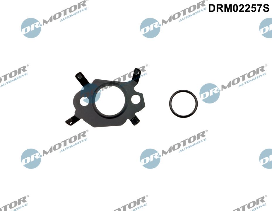 Gasket Set, EGR system  Art. DRM02257S