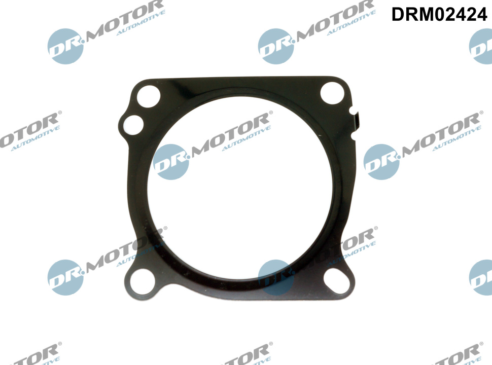 Gasket, throttle body  Art. DRM02424