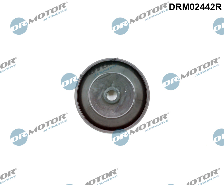 Control Valve, air intake  Art. DRM02442R