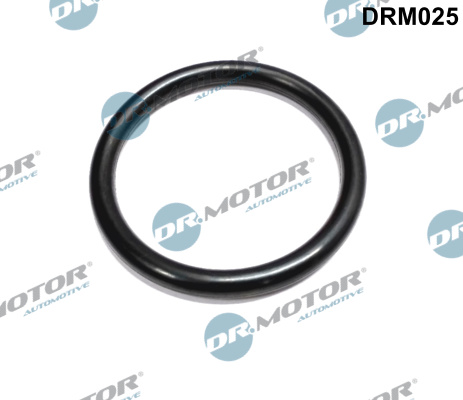 Gasket, throttle body  Art. DRM025