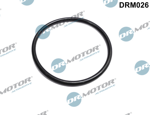 Gasket, throttle body  Art. DRM026