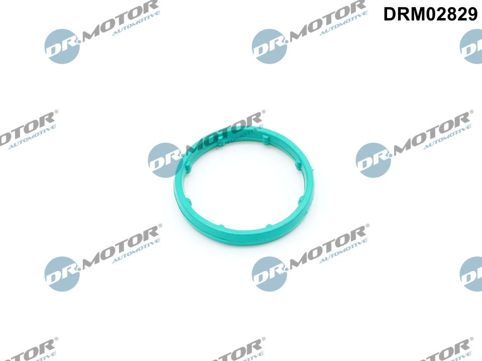 Gasket, oil cooler  Art. DRM02829