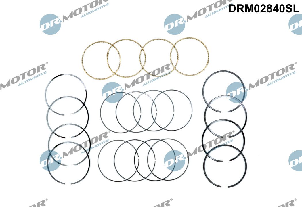 Piston Ring Kit  Art. DRM02840SL