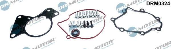 Repair Set, vacuum pump (braking system) (Cylinder head)  Art. DRM0324