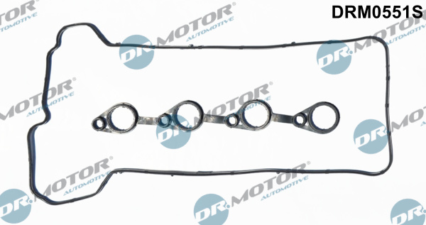 Gasket Set, cylinder head cover (P1G-A050)  Art. DRM0551S