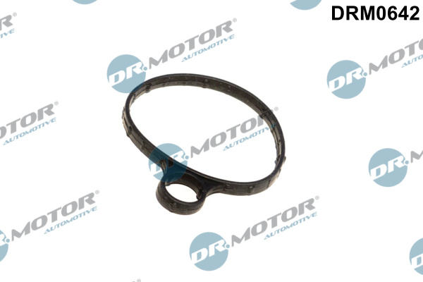 Gasket, vacuum pump  Art. DRM0642