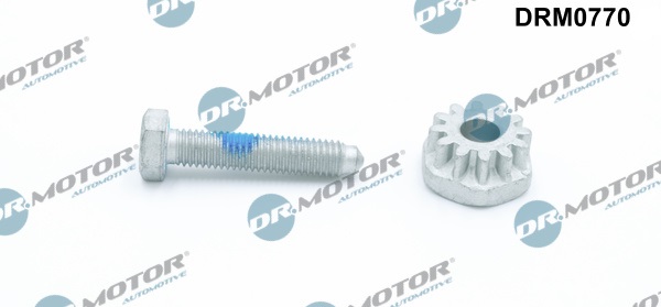 Tensioner Bolt, alternator mounting (Front axle)  Art. DRM0770