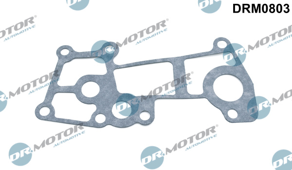 Gasket, coolant flange (Cylinder head)  Art. DRM0803