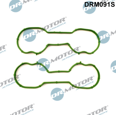 Gasket Set, intake manifold  Art. DRM091S