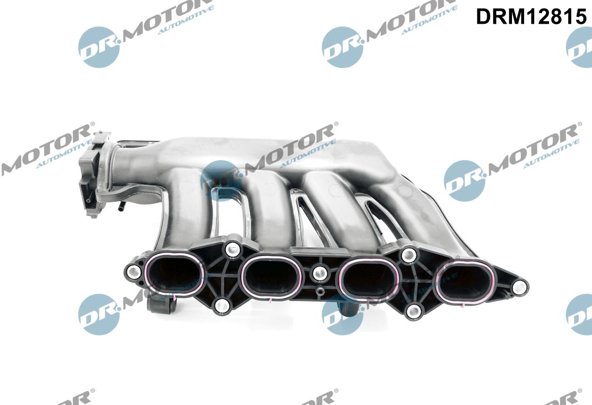 Intake Manifold Module  Art. DRM12815