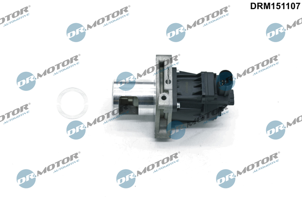 EGR Valve (555296)  Art. DRM151107