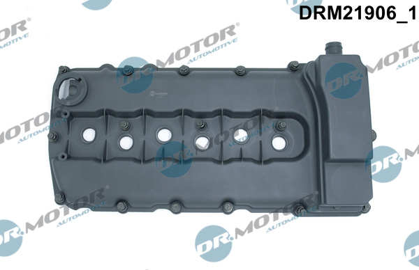 Cylinder Head Cover (Cylinder head)  Art. DRM21906