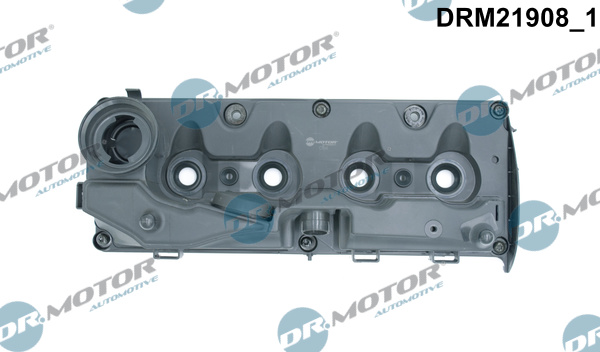 Cylinder Head Cover (NBR (Nitrile Butadiene Rubber))  Art. DRM21908