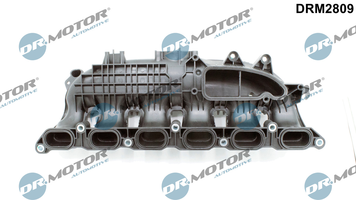 Intake Manifold Module  Art. DRM2809