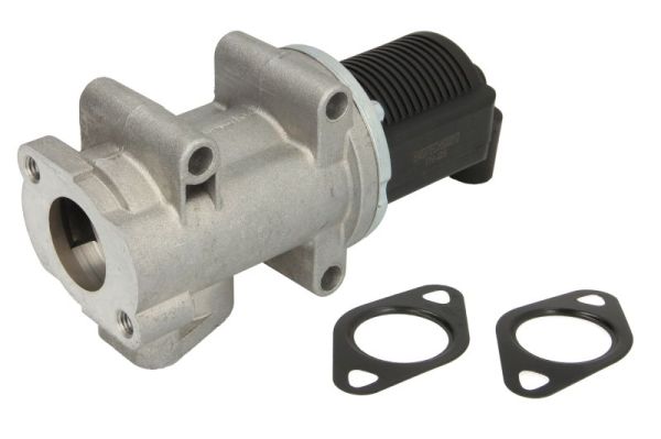 EGR Valve (555061)  Art. ENT500012