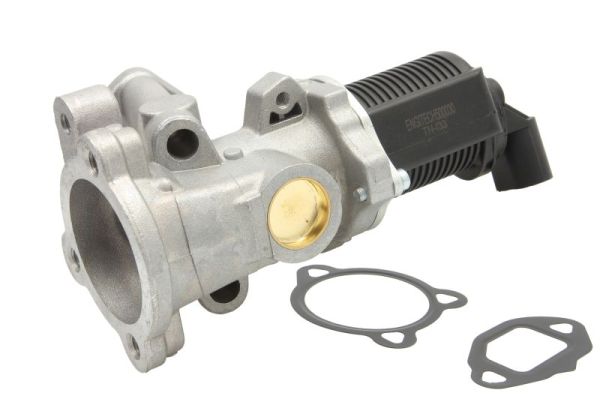 EGR Valve (555070)  Art. ENT500030