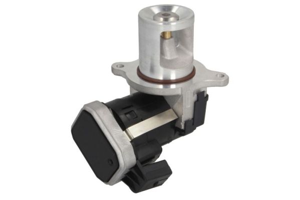 EGR Valve (555252)  Art. ENT500156